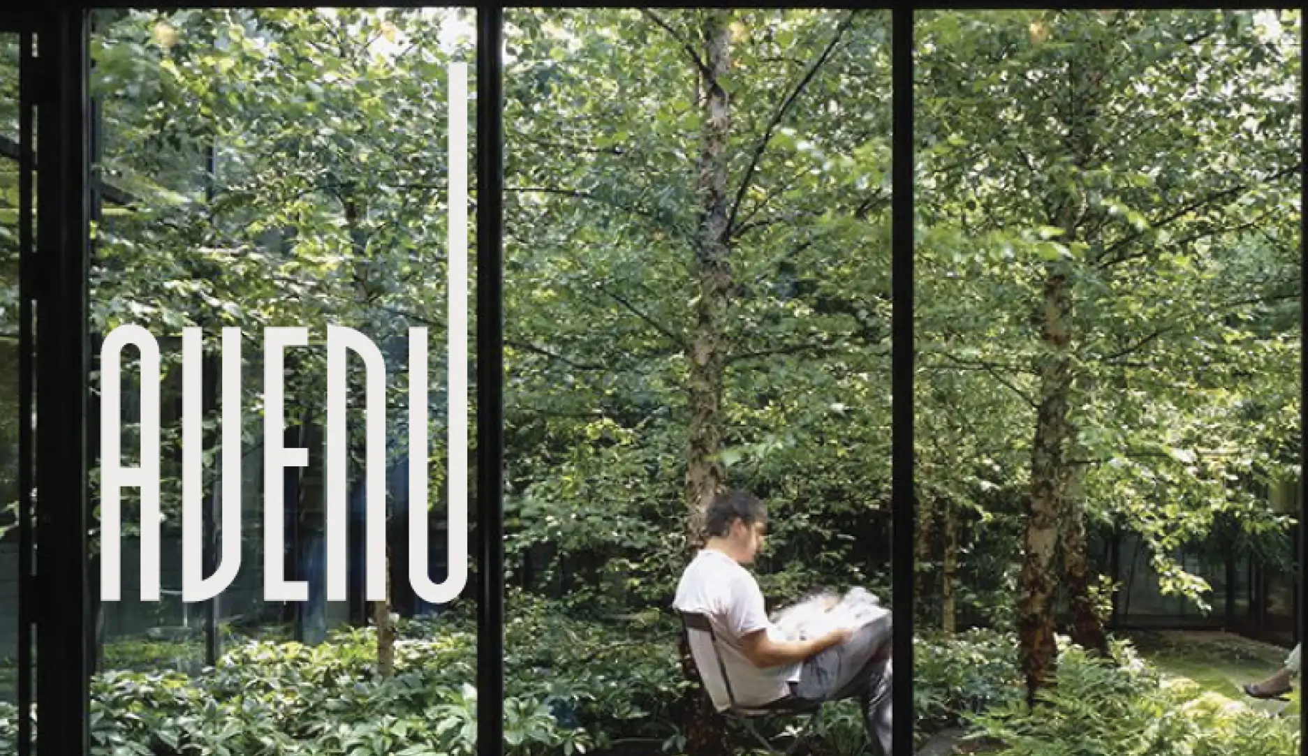 avenu