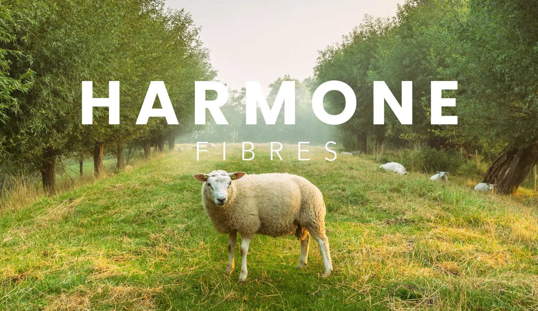 harmone